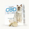 Pastiglie al CBD per Gatti