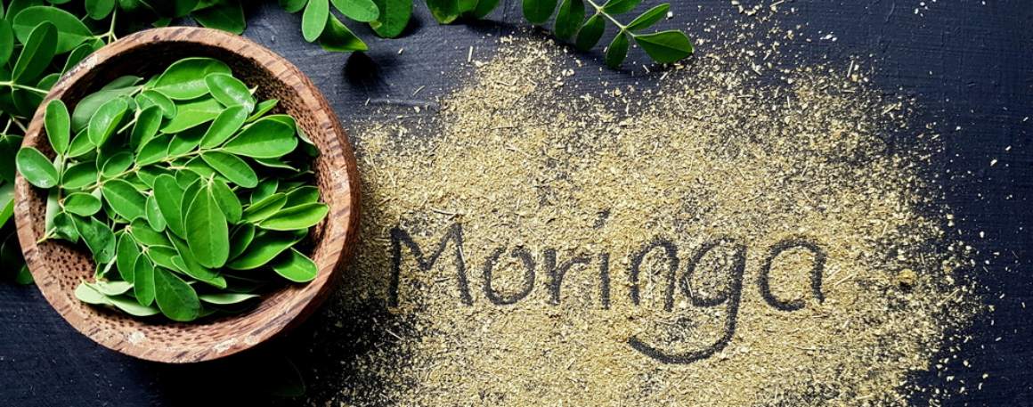 Moringa: Voordelen voor de gezondheid en gebruikstips